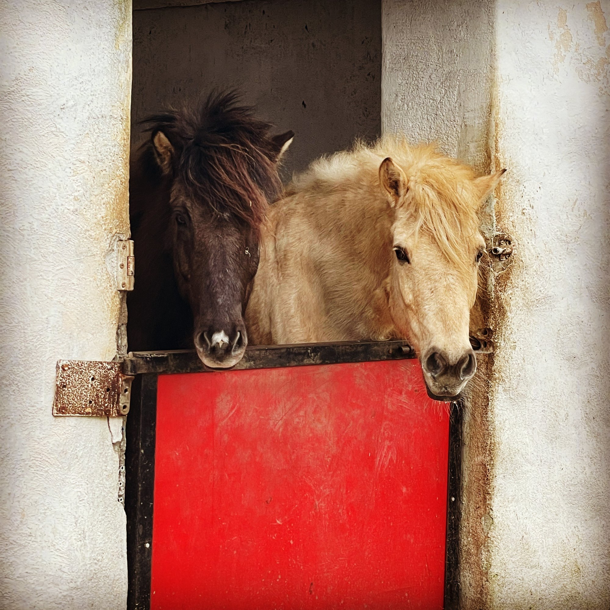 35ABD4D7-2CAF-48ED-8F19-D7D32E2E98B8