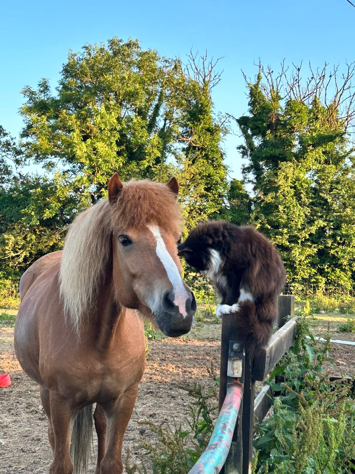 5225cb3d-a862-4049-ab4a-fb44b2e8d7f8