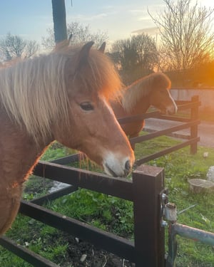 CE62D54D-C43B-4D8D-8E13-E4344BAEC9A6