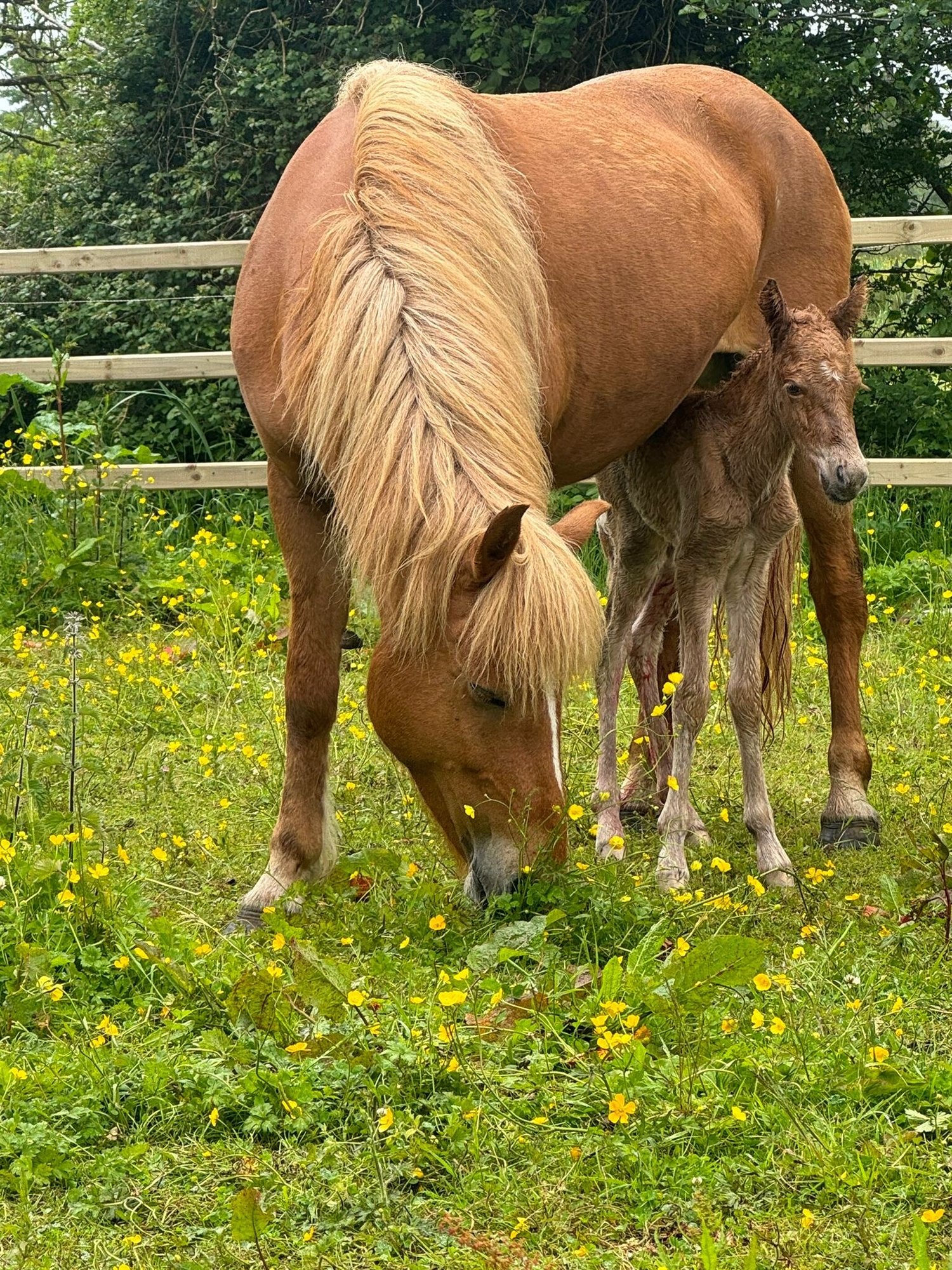 b6595df3-1711-4048-bc97-286150c7f01a