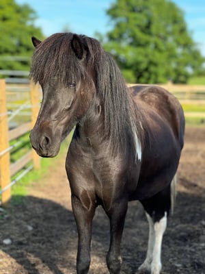 f8008bd0-1de0-4346-8b13-df67879b38fc